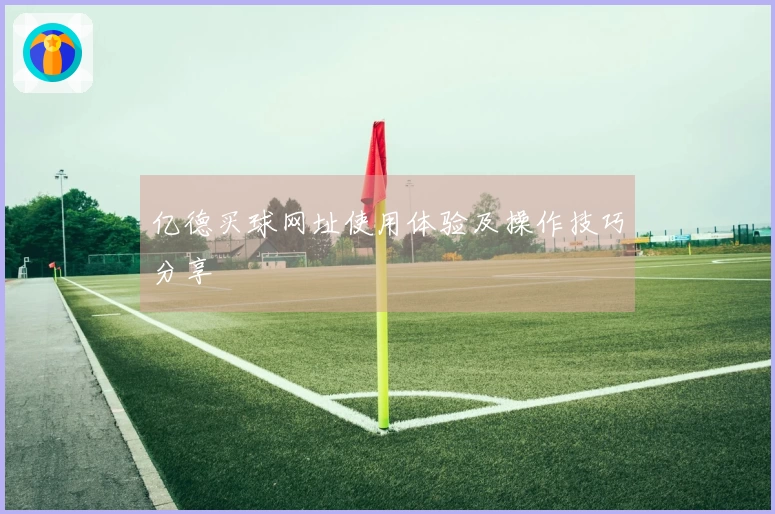 亿德买球网址使用体验及操作技巧分享