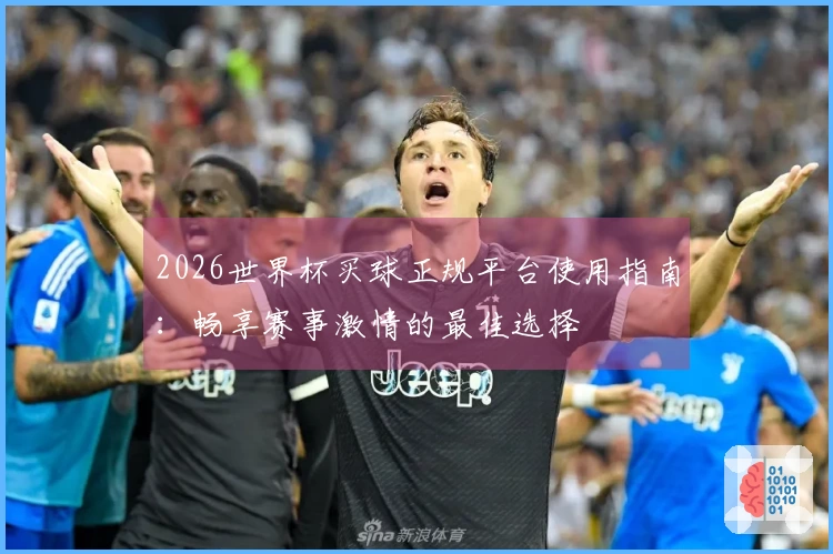 2026世界杯买球正规平台使用指南：畅享赛事激情的最佳选择