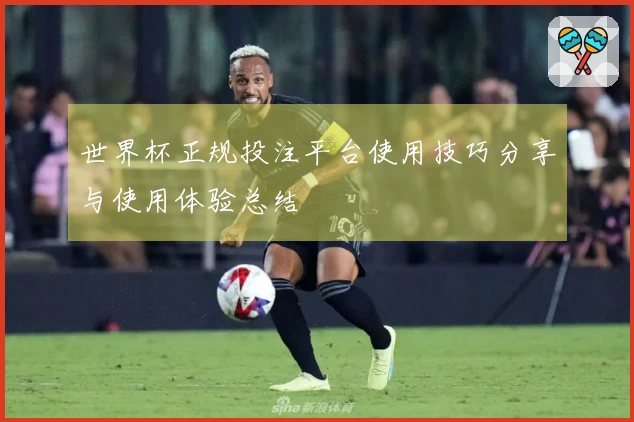 世界杯正规投注平台使用技巧分享与使用体验总结