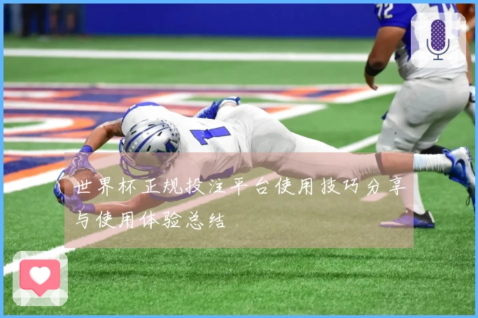 世界杯正规投注平台使用技巧分享与使用体验总结