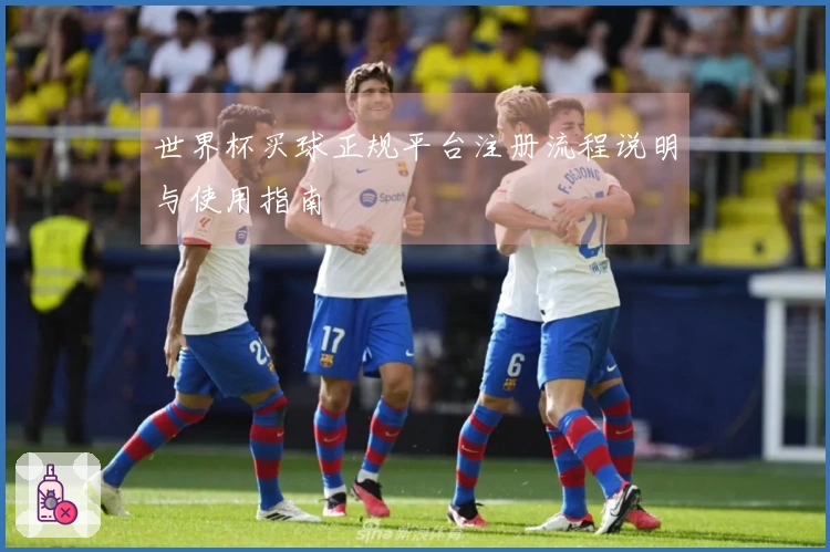 世界杯买球正规平台注册流程说明与使用指南