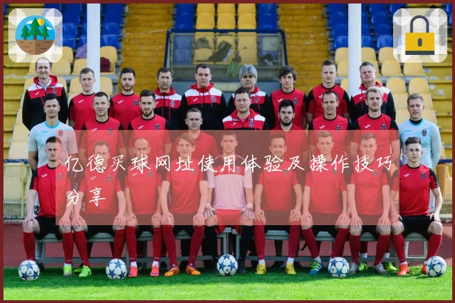 亿德买球网址使用体验及操作技巧分享