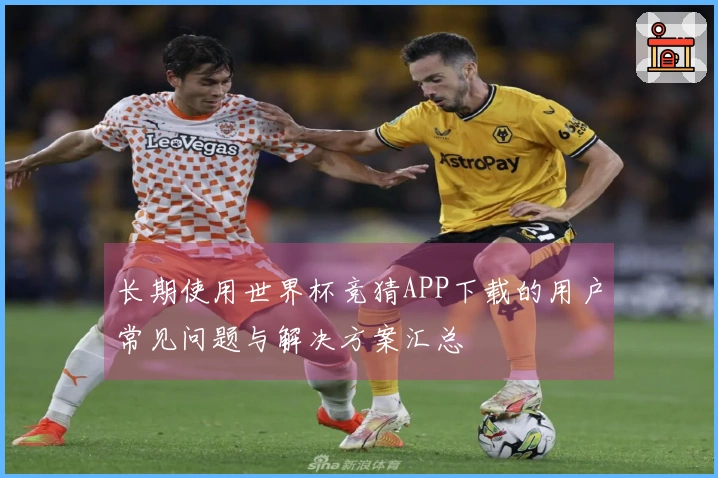 长期使用世界杯竞猜APP下载的用户常见问题与解决方案汇总