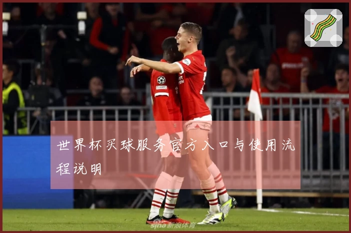 世界杯买球服务官方入口与使用流程说明