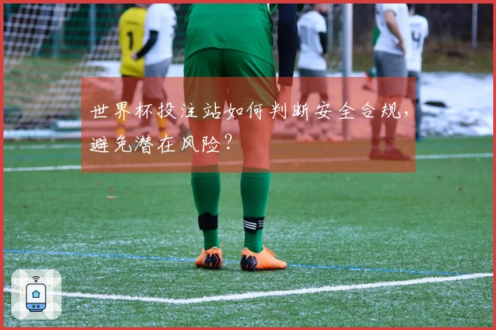 世界杯投注站如何判断安全合规,避免潜在风险?