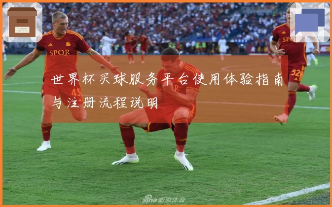 世界杯买球服务平台使用体验指南与注册流程说明