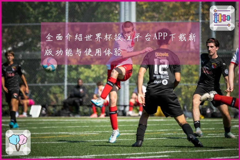 全面介绍世界杯投注平台APP下载新版功能与使用体验