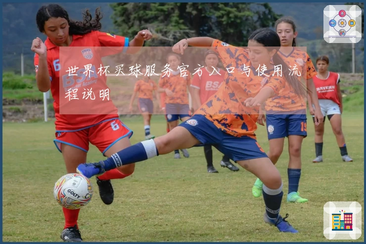 世界杯买球服务官方入口与使用流程说明