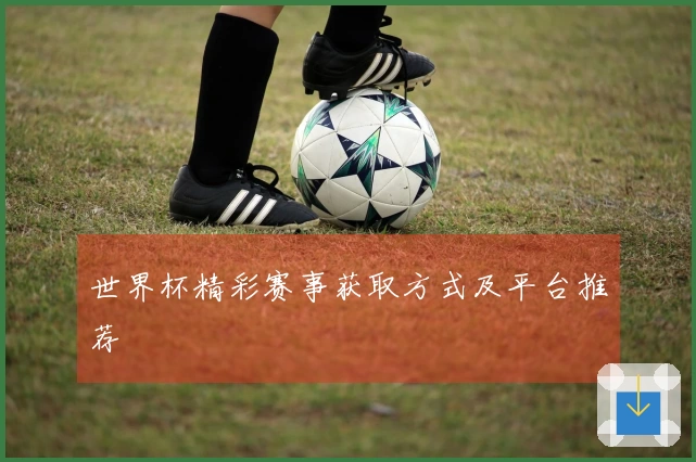 世界杯精彩赛事获取方式及平台推荐