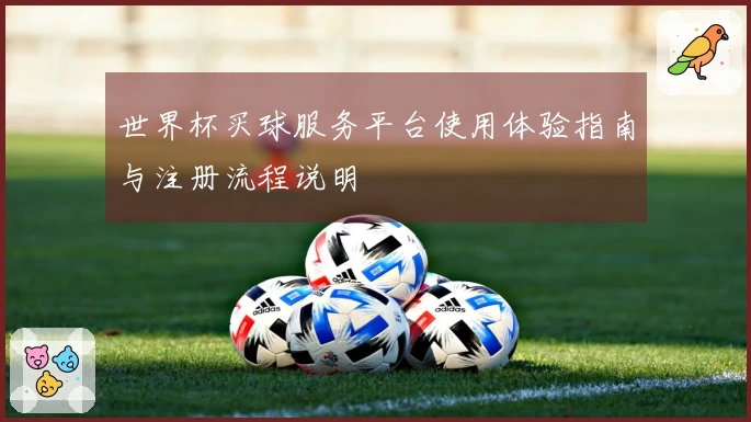 世界杯买球服务平台使用体验指南与注册流程说明