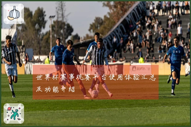 世界杯赛事观赛平台使用体验汇总及功能介绍