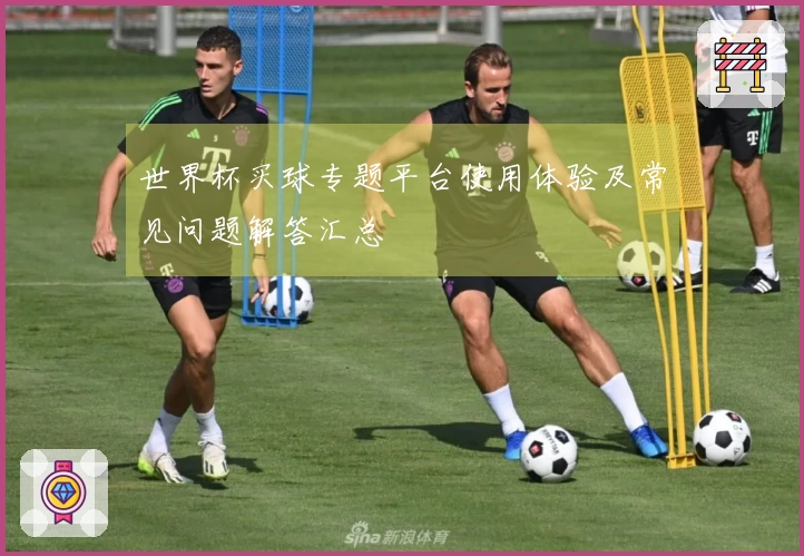 世界杯买球专题平台使用体验及常见问题解答汇总